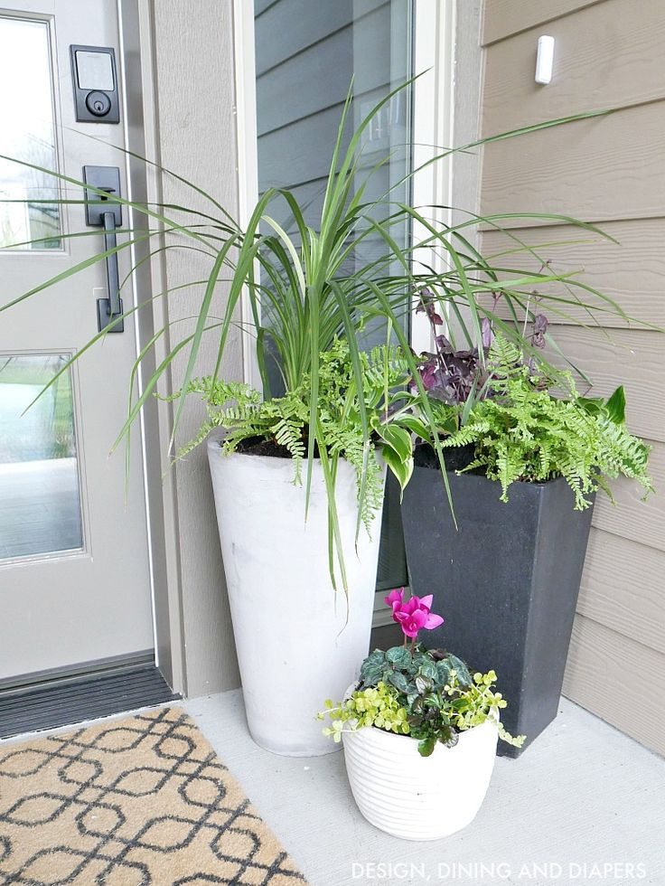Best ideas about Large Outdoor Planter Ideas
. Save or Pin Planters astounding front porch planters Outdoor Now.