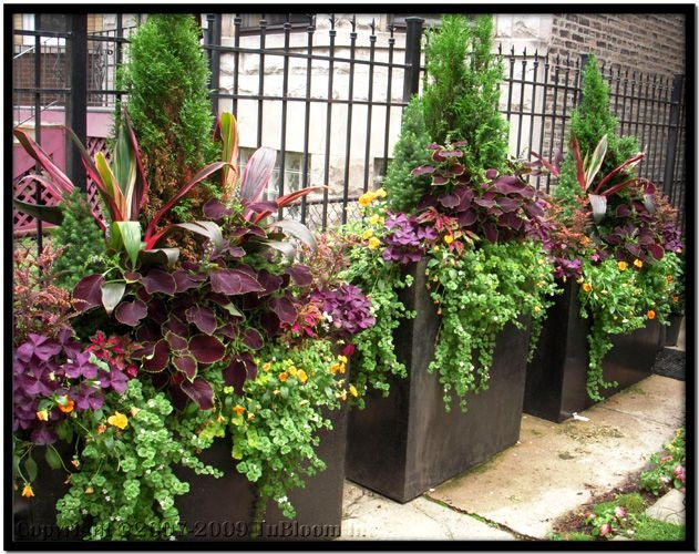 Best ideas about Large Outdoor Planter Ideas
. Save or Pin Outdoor Planter Ideas Now.
