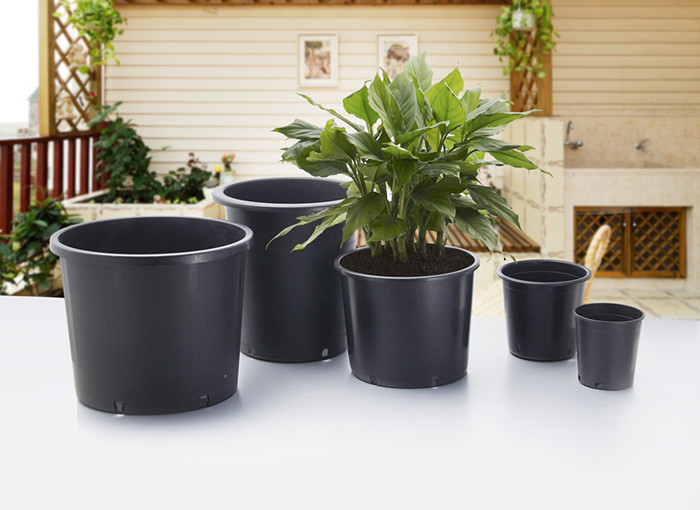 Best ideas about Large Outdoor Planter Ideas
. Save or Pin Planters interesting large plant containers Oversized Now.