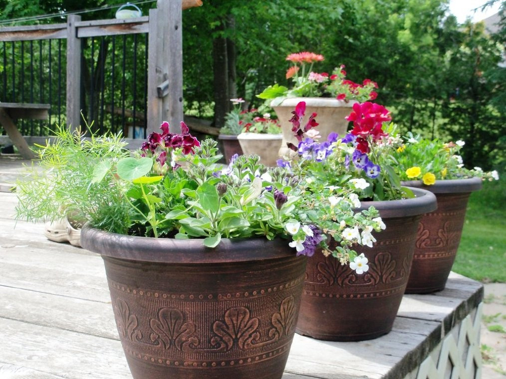 Best ideas about Large Outdoor Planter Ideas
. Save or Pin Indoor Flower Pots Ideas Iimajackrussell Garages Now.