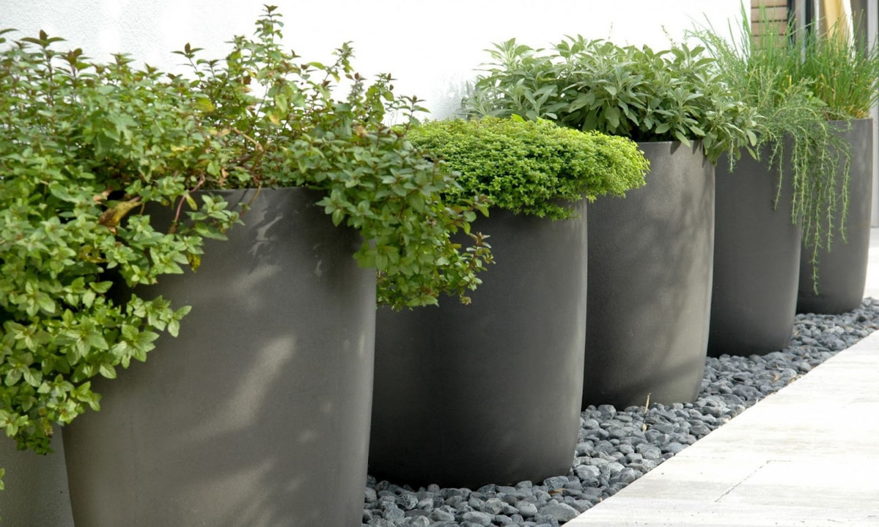 Best ideas about Large Outdoor Planter Ideas
. Save or Pin Rooftop patio design large outdoor planter garden pots Now.