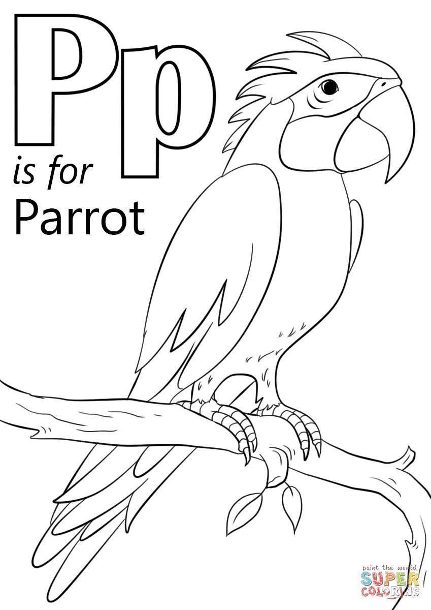 Letter P Preschool Coloring Sheets
 Letter P is for Parrot coloring page