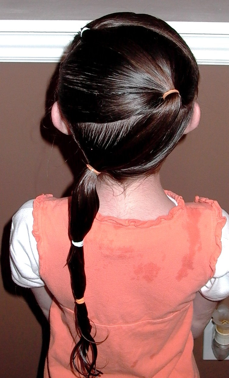 Little Girl Ponytail Hairstyles
 Little Girl’s Hairstyles – How to do a Zig Zag Puffy Braid