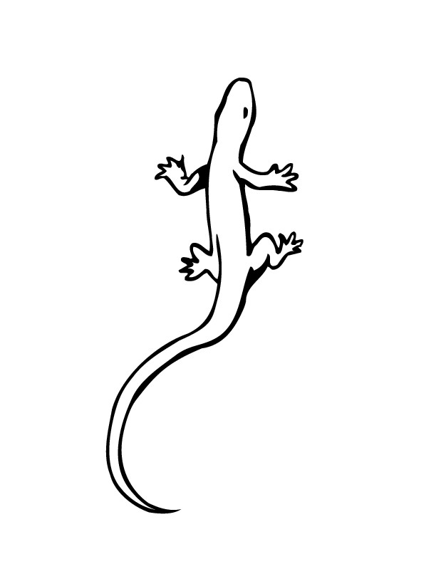 Lizard Coloring Pages
 Free Printable Lizard Coloring Pages For Kids