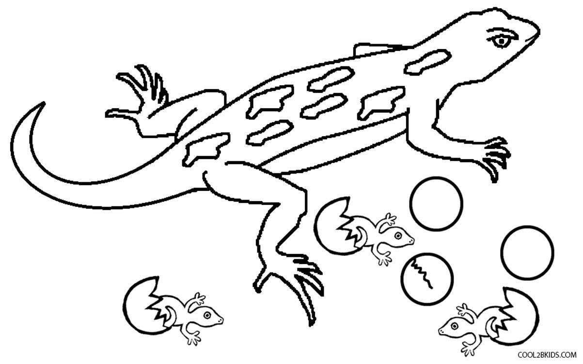 Lizard Coloring Pages
 Printable Lizard Coloring Pages For Kids