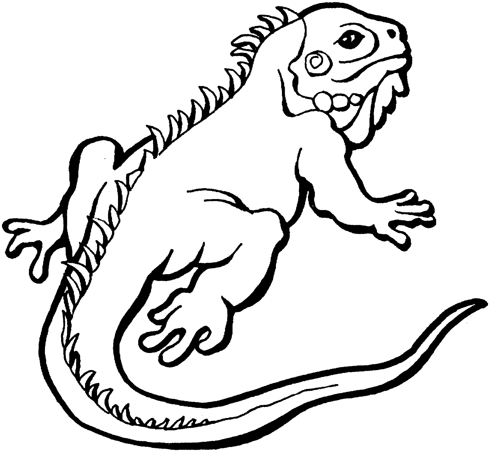 Lizard Coloring Pages
 Free Lizard Coloring Pages