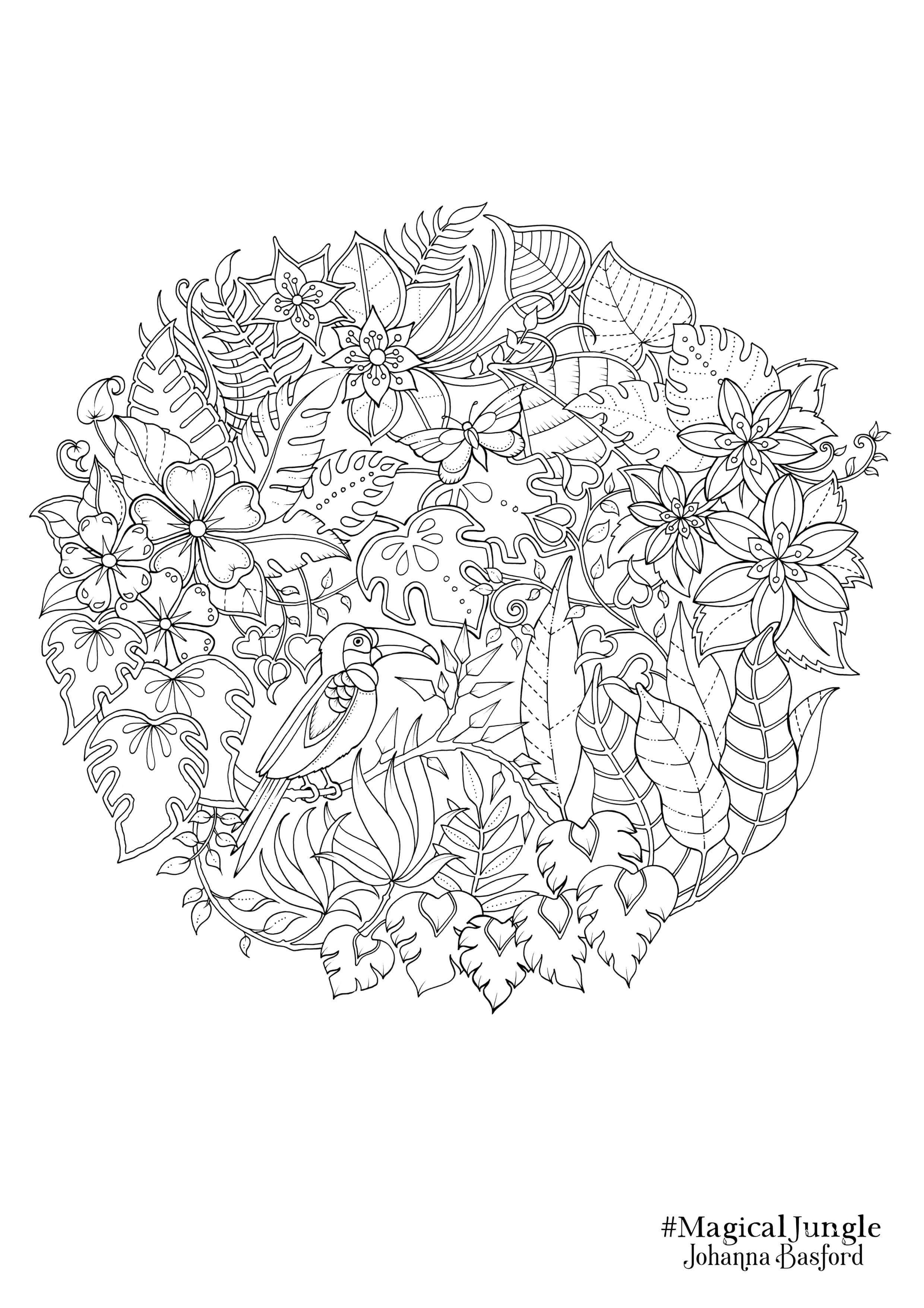 Magical Jungle Coloring Pages
 Afbeeldingsresultaat voor johanna basford magical jungle