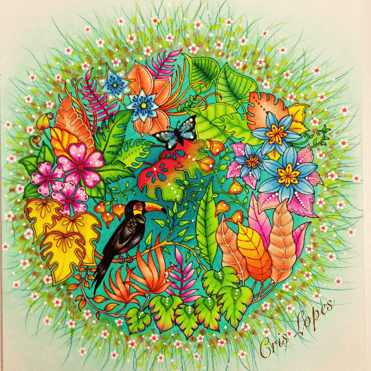 Magical Jungle Coloring Pages
 Johanna Basford Colouring Gallery Johanna Basford