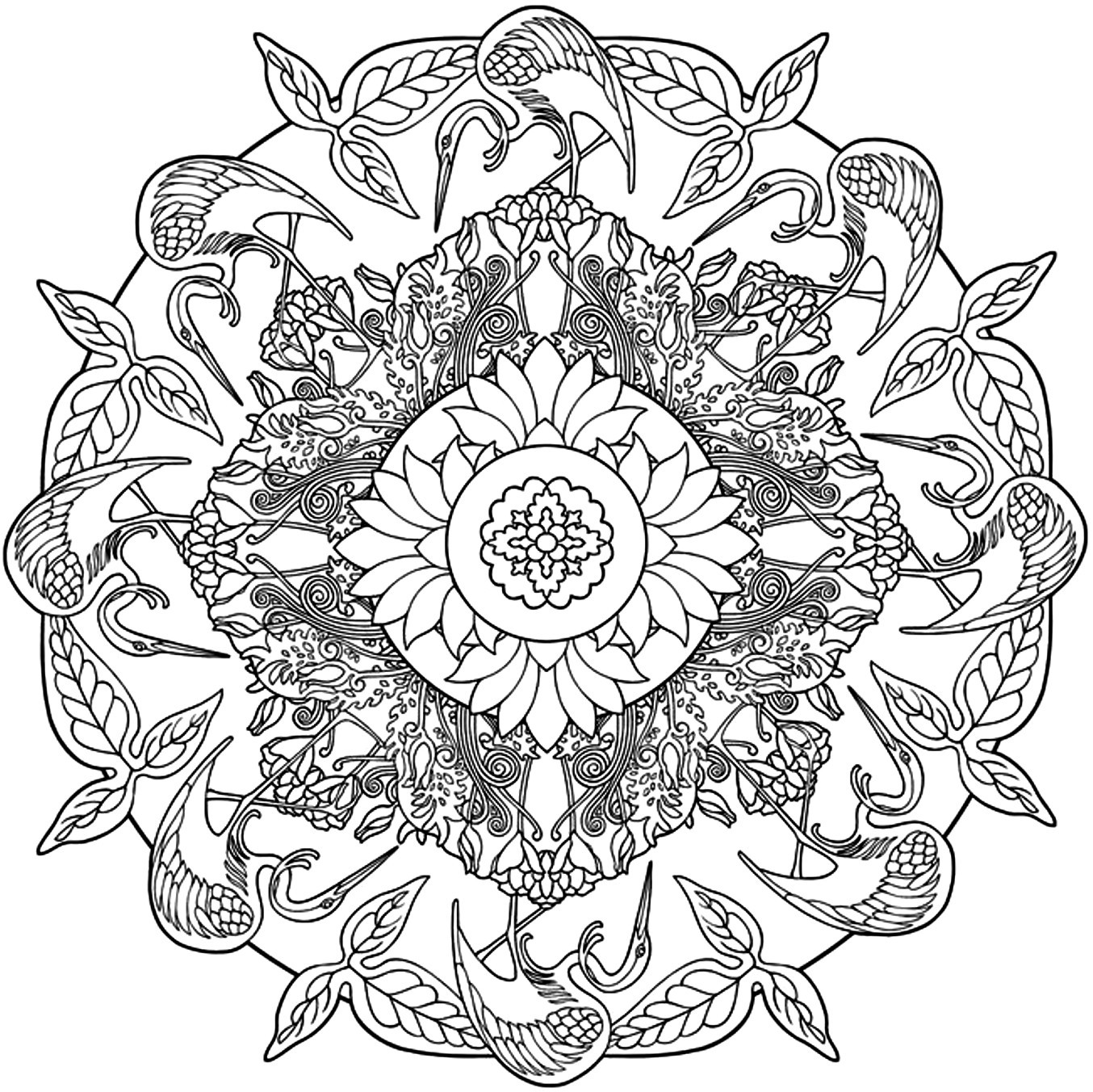 Mandala Coloring Book Pages
 Free Printable Adult Coloring Pages