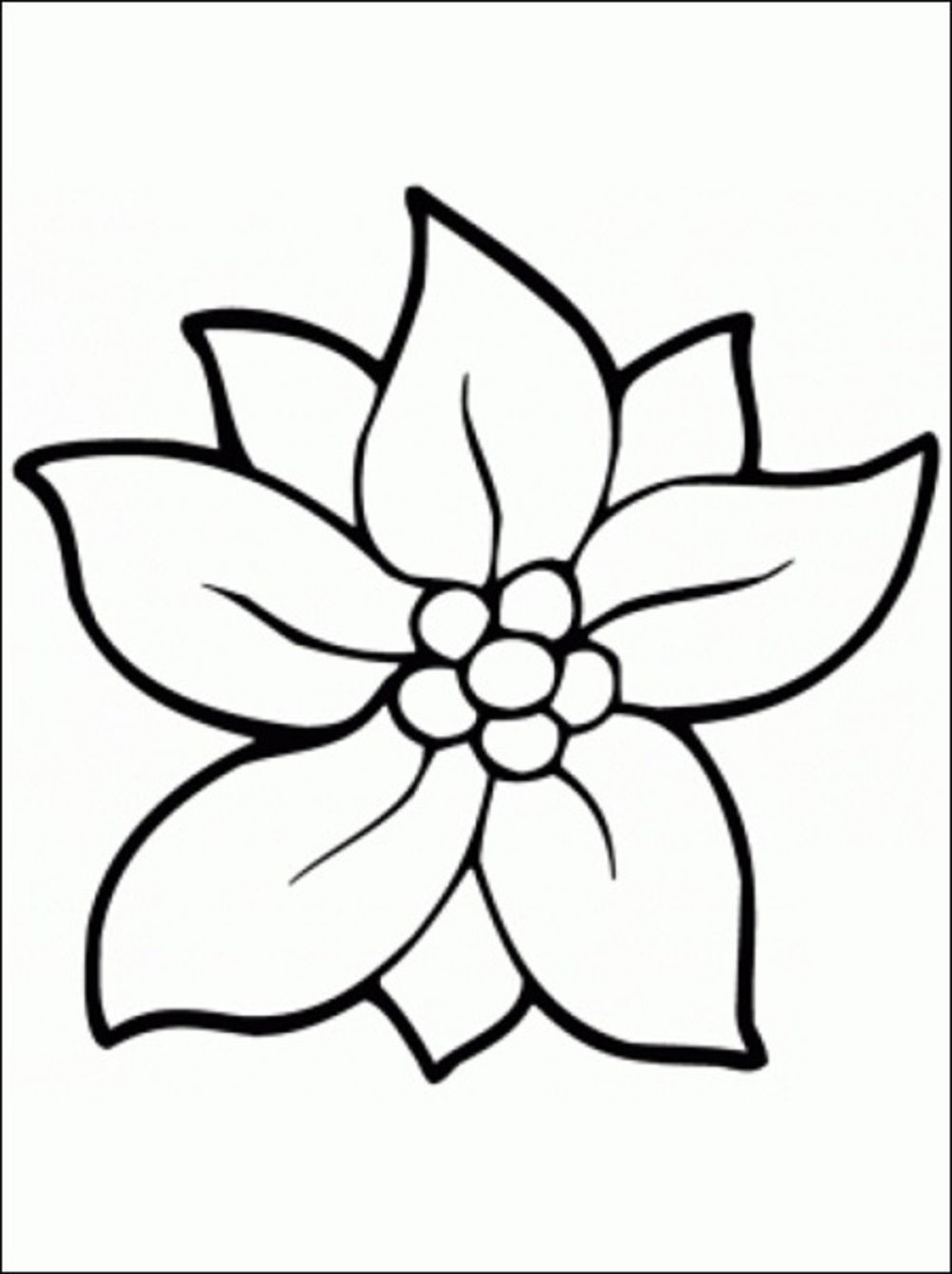 May Flowers Coloring Pages
 Flower Coloring Pages coloringsuite