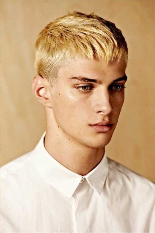 Mens Blonde Hairstyles
 Best Hairstyles for Blonde Men