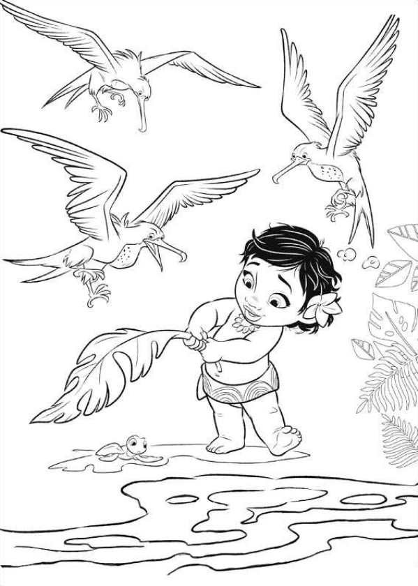 Moana Coloring Book Pages
 Moana Coloring Pages Best Coloring Pages For Kids