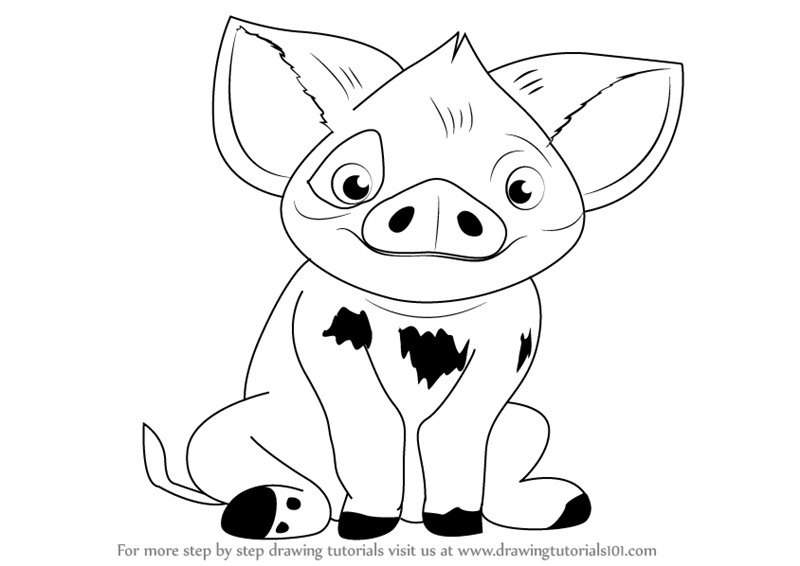 Moana Pua Coloring Pages
 Learn How to Draw Pua from Moana Moana Step by Step