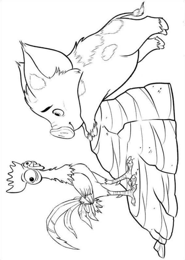 Moana Pua Coloring Pages
 Kids n fun