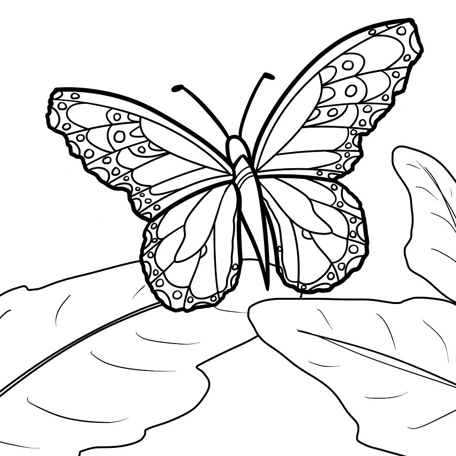 Monarch Butterfly Coloring Pages
 Monarch Butterfly by CandyBeeLinearts on DeviantArt