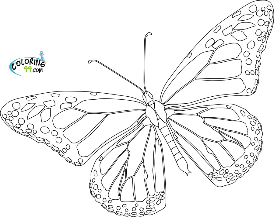 Monarch Butterfly Coloring Pages
 Butterfly Coloring Pages