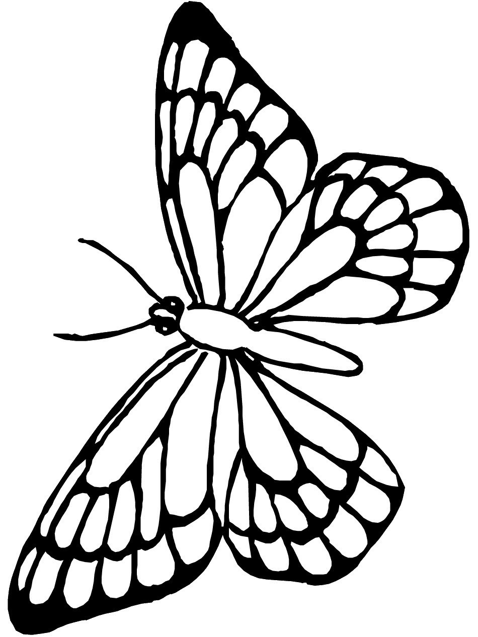 Monarch Butterfly Coloring Pages
 Free Printable Butterfly Coloring Pages For Kids
