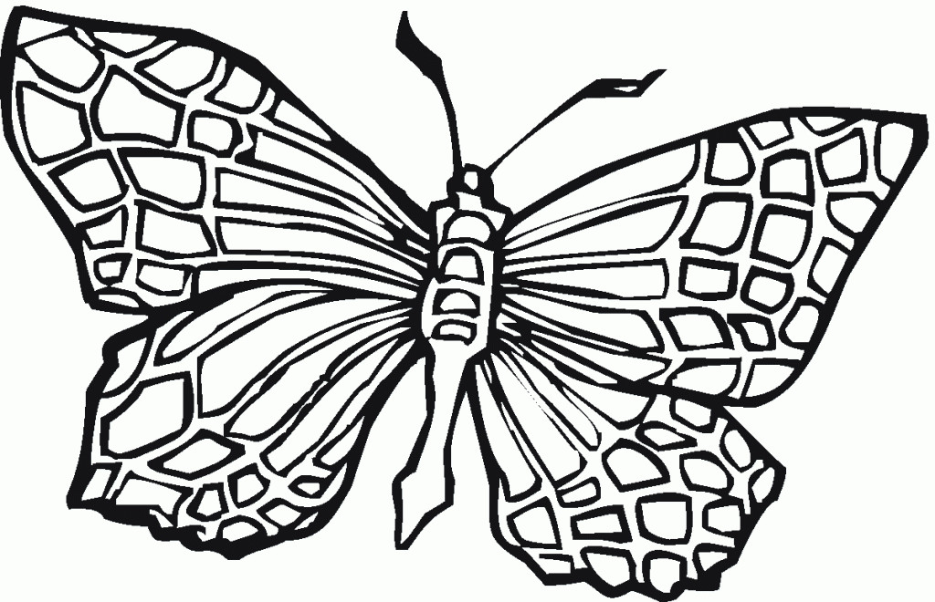 Monarch Butterfly Coloring Pages
 Monarch Butterfly Coloring Pages Coloring Home