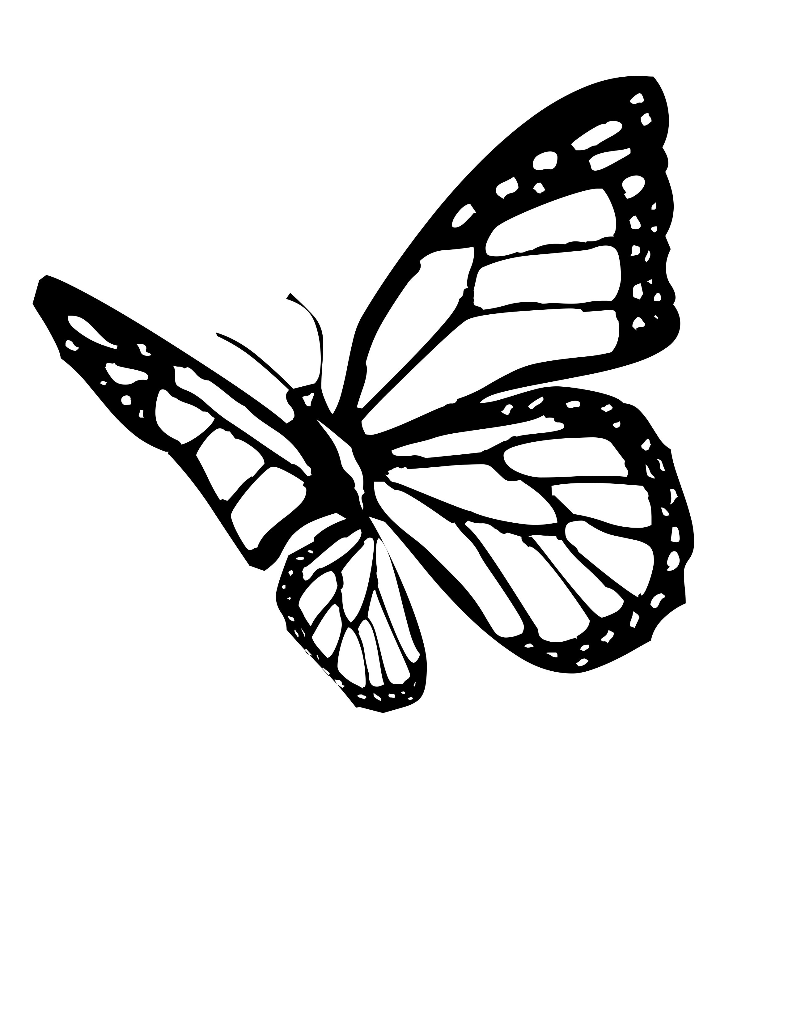 Monarch Butterfly Coloring Pages
 Butterfly Coloring Pages