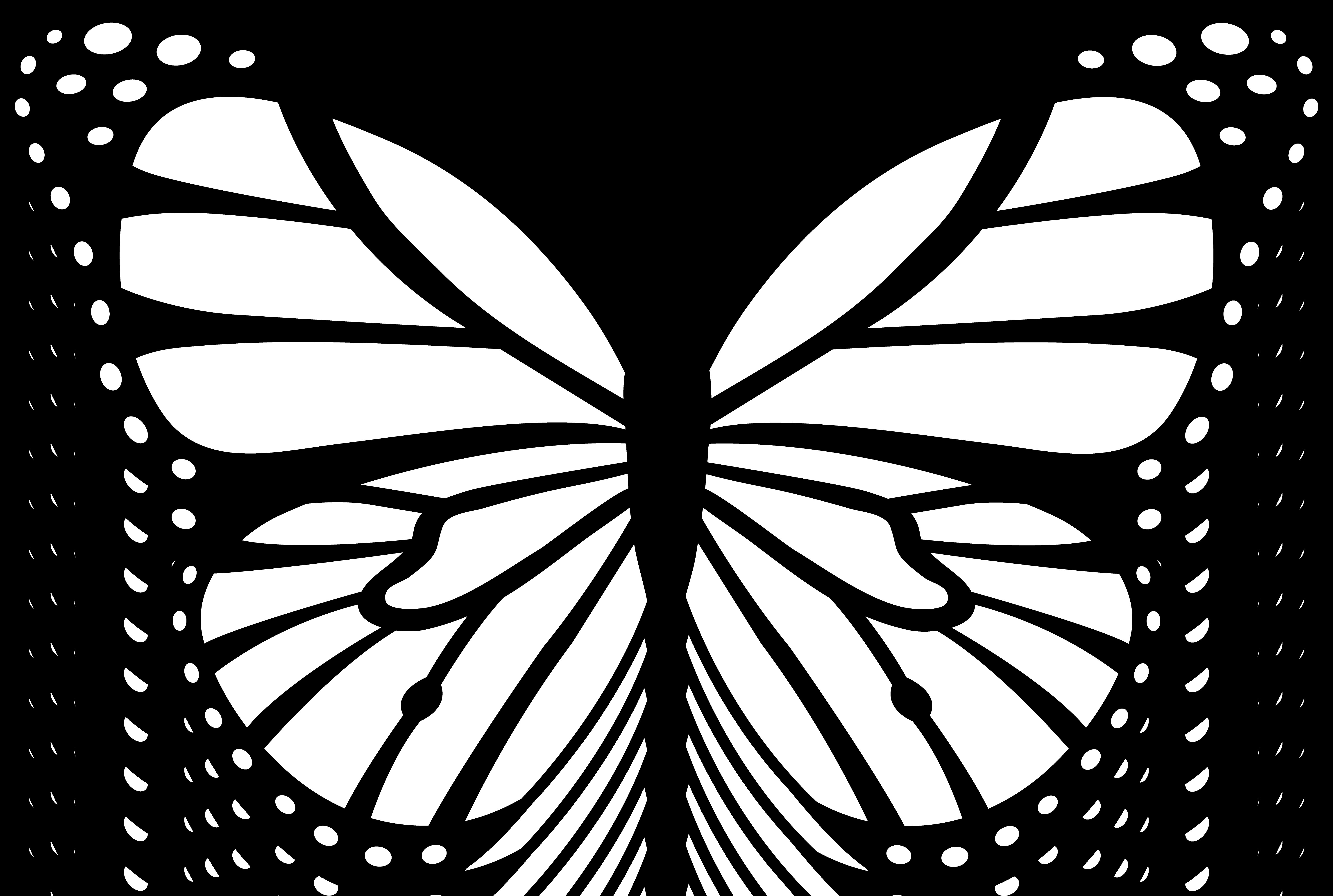 Monarch Butterfly Coloring Pages
 Butterflies Coloring Pages free coloring pages of monarch