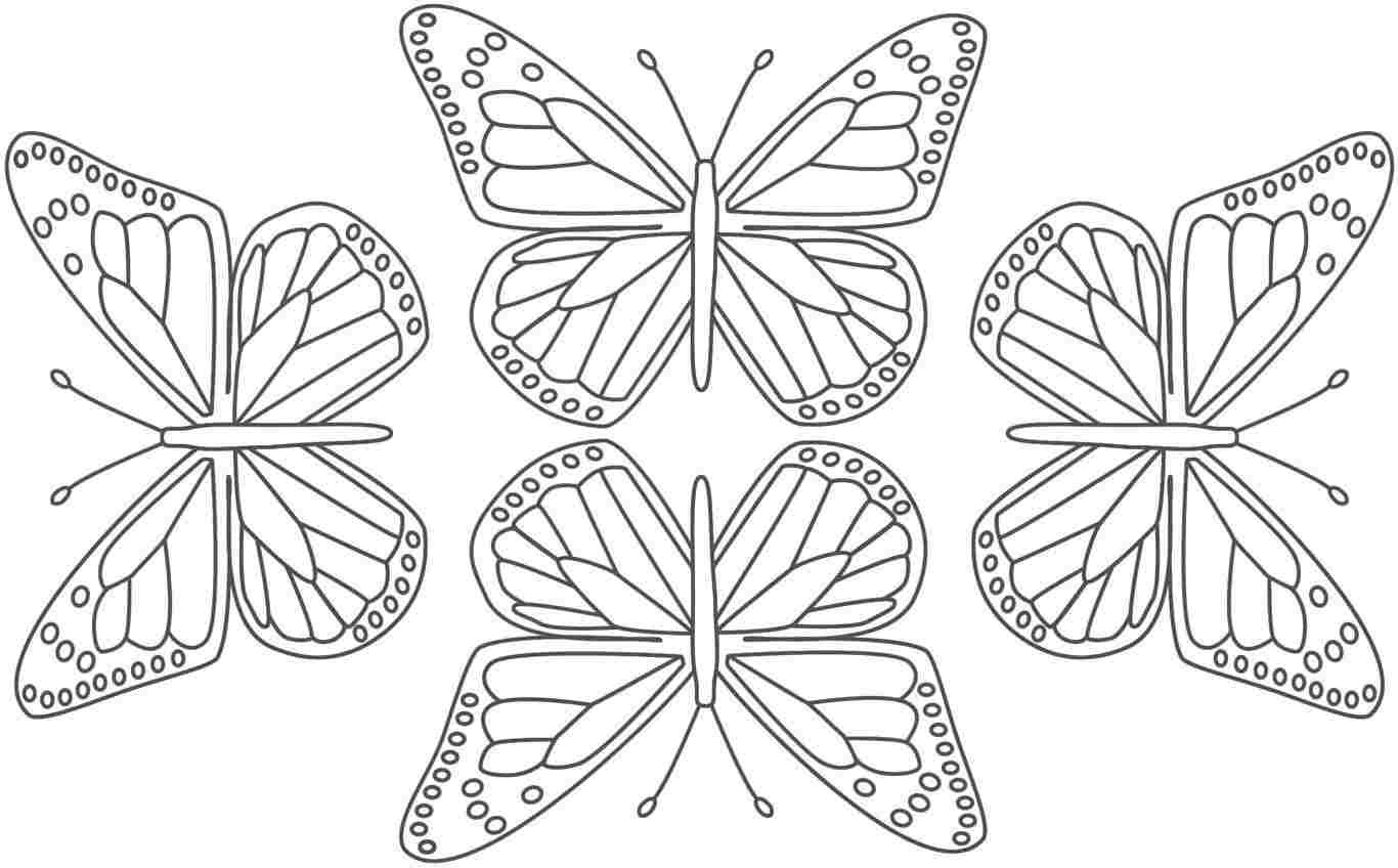 Monarch Butterfly Coloring Pages
 Butterflies Pages Printable Butterfly Pages
