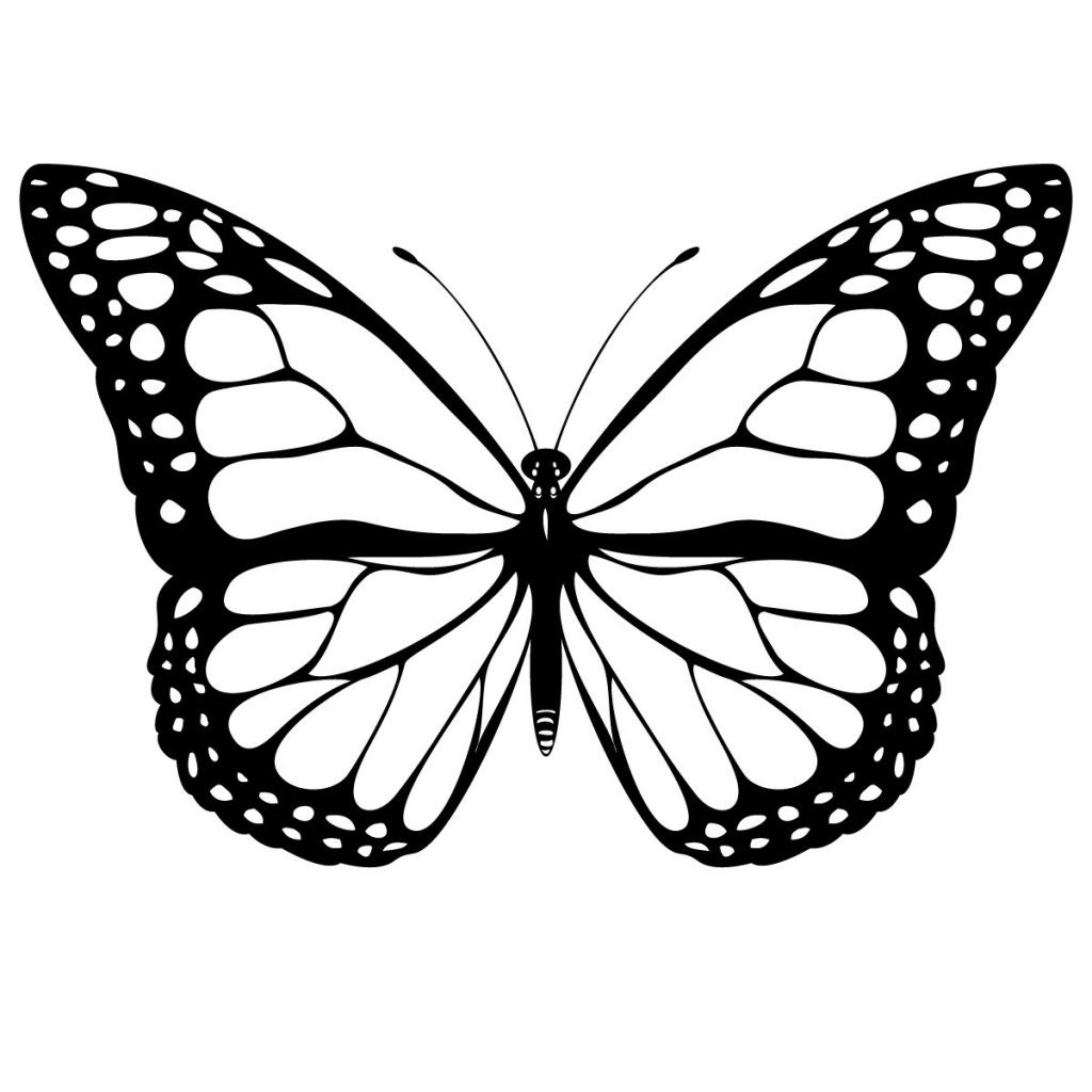 Monarch Butterfly Coloring Pages
 Free Printable Butterfly Coloring Pages For Kids