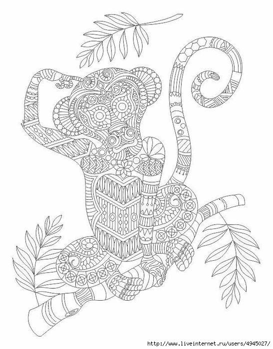 Monkey Coloring Pages For Adults
 17 images about Coloring pages adult advanced on