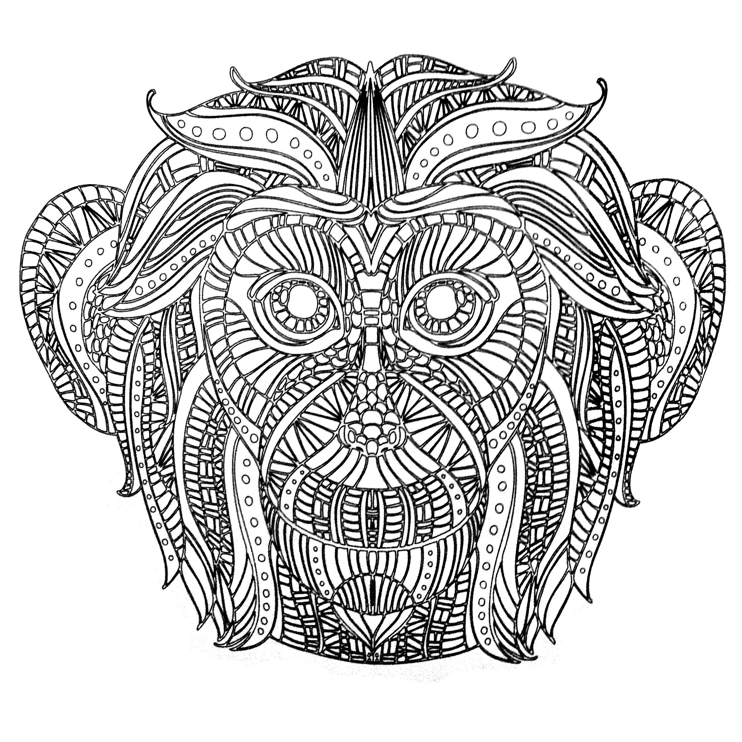 Monkey Coloring Pages For Adults
 Colors of Nature Adult Colouring Book Monkey