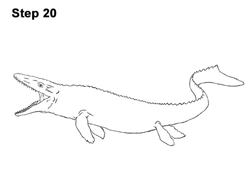 Mosasaurus Coloring Pages
 How to Draw Mosasaurus