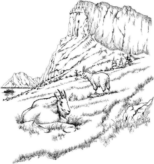 Best ideas about Mountain Landscape Coloring Pages
. Save or Pin Pinterest • The world’s catalog of ideas Now.