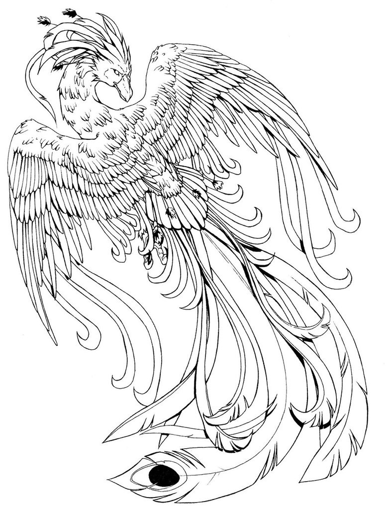 Mythical Creatures Coloring Pages For Adults
 Phoenix B W by kissy face on DeviantArt