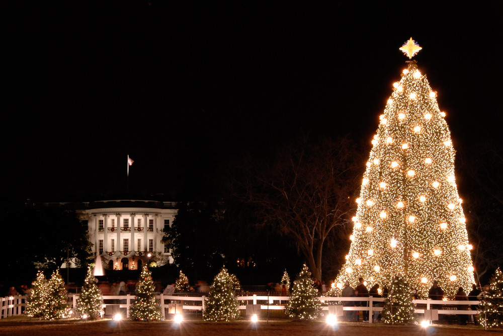 Best ideas about National Christmas Tree Lighting
. Save or Pin This Day in History December 24th Now.
