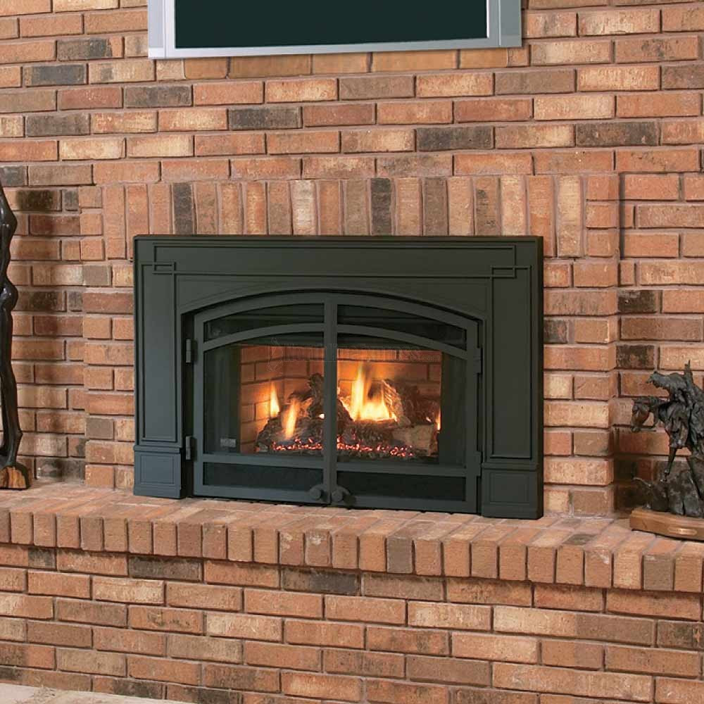 Best ideas about Natural Gas Fireplace Inserts
. Save or Pin Gas Insert For Fireplace Now.