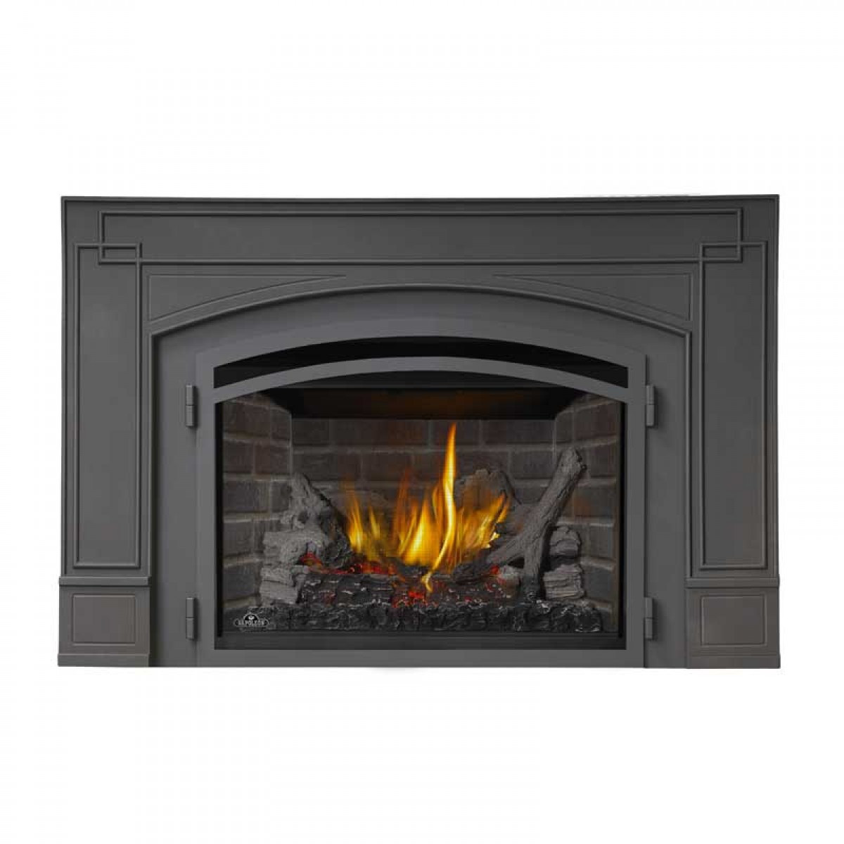 Best ideas about Natural Gas Fireplace Inserts
. Save or Pin Napoleon XIR3NSBDeluxe Natural Gas fireplace insert at Now.