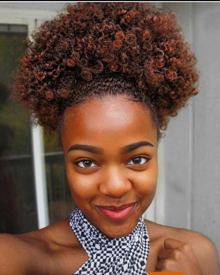 Natural Hairstyles With Color
 Natural Hair Hair Pinterest Prettiest Natural Hair