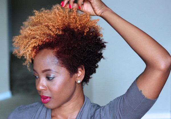 Natural Hairstyles With Color
 Natural Hair Color Inspo The Red Blonde bo ToBNatural