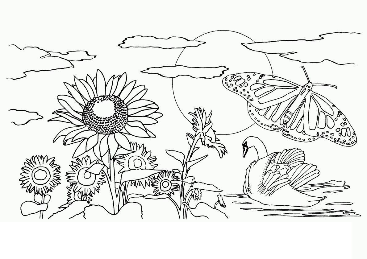 Nature Coloring Pages For Adults
 Coloring Pages For Adults Nature AZ Coloring Pages