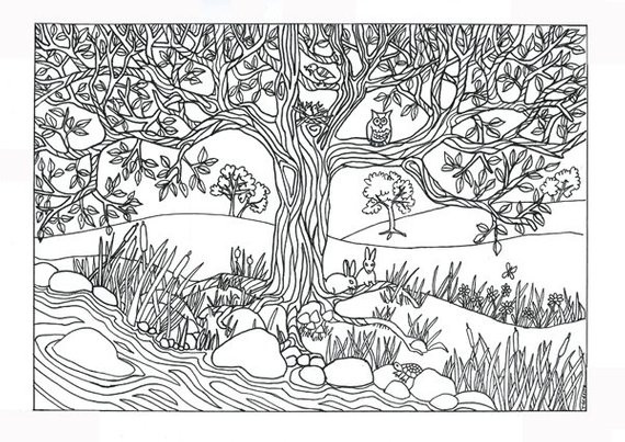 Nature Coloring Pages For Adults
 Items similar to Printable Tree & River Nature Scene