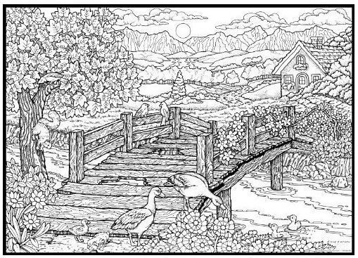 Nature Coloring Pages For Adults
 Nature Coloring Pages For Adults – Color Bros