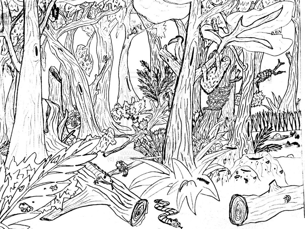 Nature Coloring Pages For Adults
 Free Printable Nature Coloring Pages For Kids Best