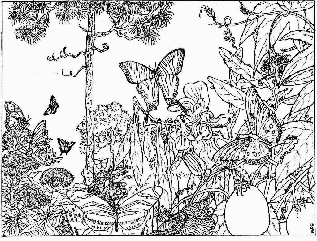 Nature Coloring Pages For Adults
 Nature coloring pages for adults ColoringStar
