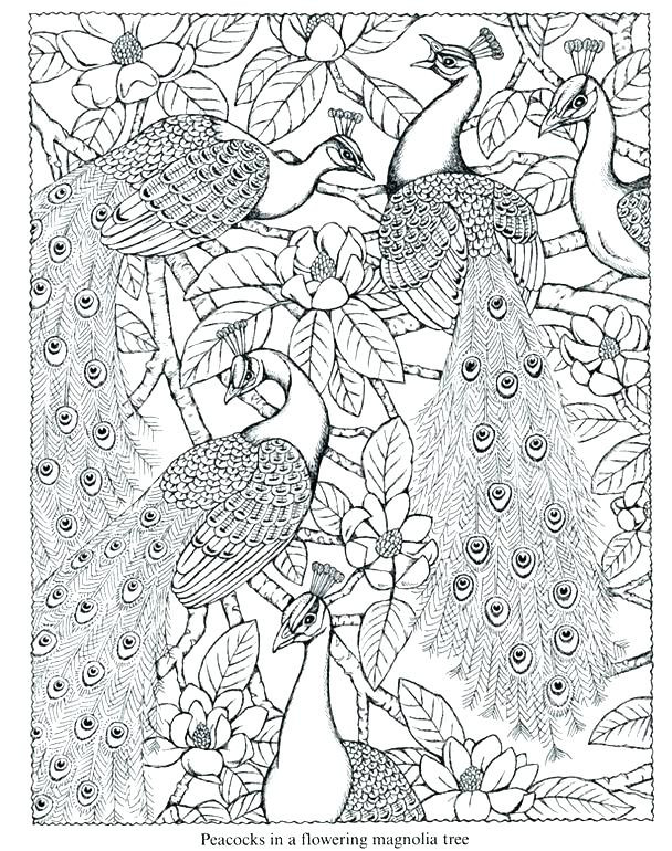 Nature Coloring Pages For Adults
 home improvement Coloring pages for adults nature