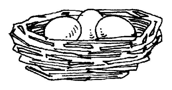 Nest Coloring Pages
 Bird Eggs in Bird Nest Coloring Pages