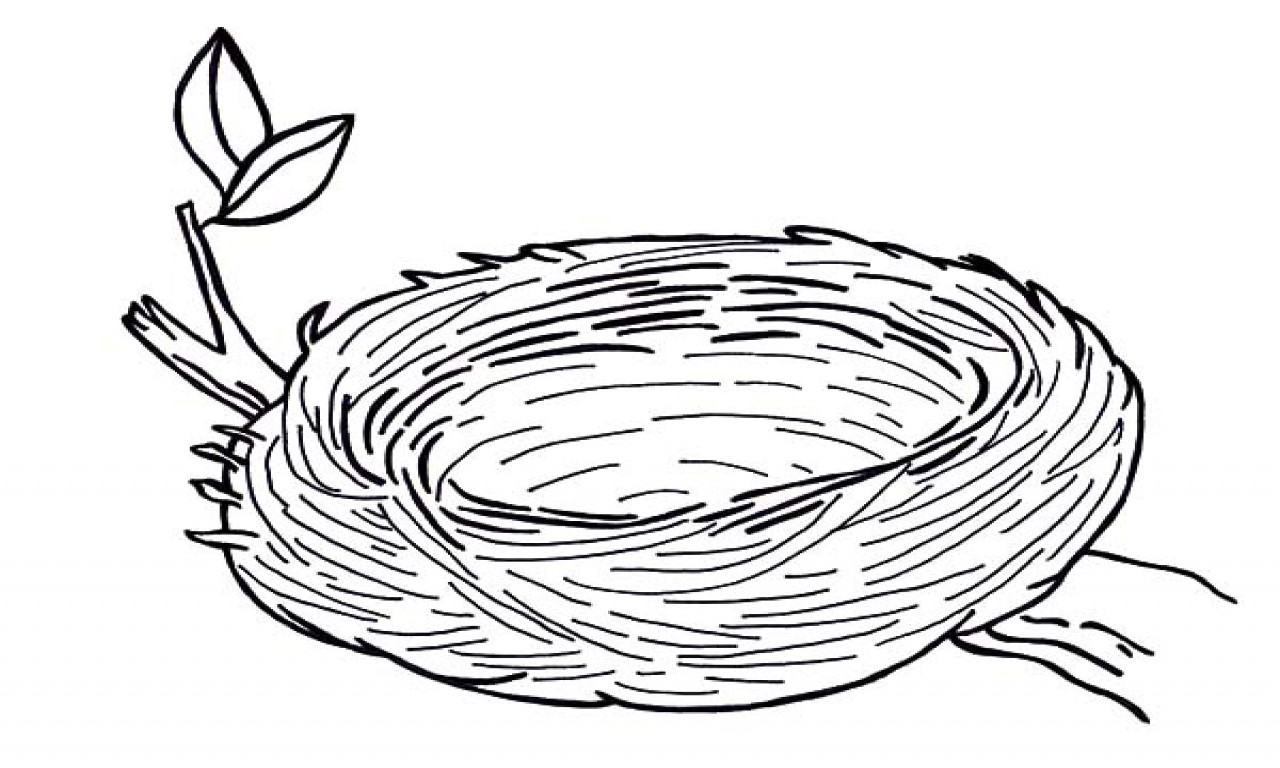 Nest Coloring Pages
 Empty Bird Nest Coloring Page And grig3