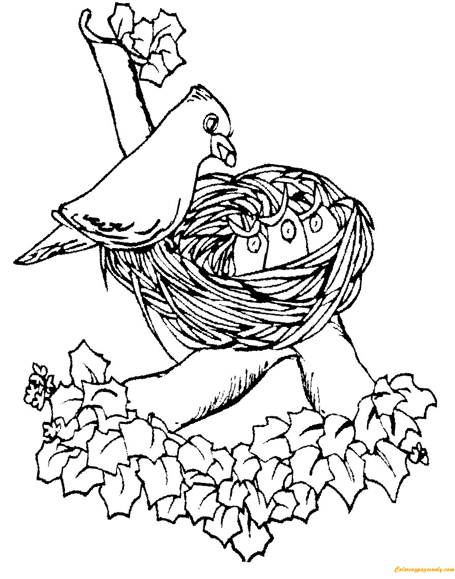 Nest Coloring Pages
 Mother Bird Feeding Cute Baby In The Nest Coloring Page