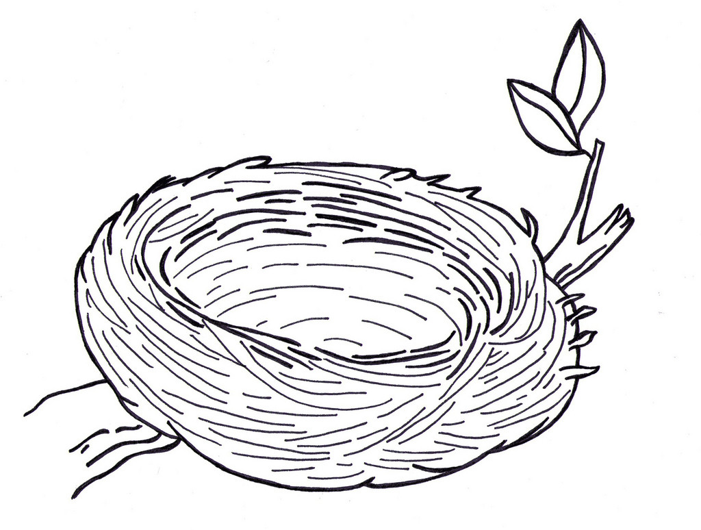 Nest Coloring Pages
 Bird s Nest clipart colouring Pencil and in color bird s