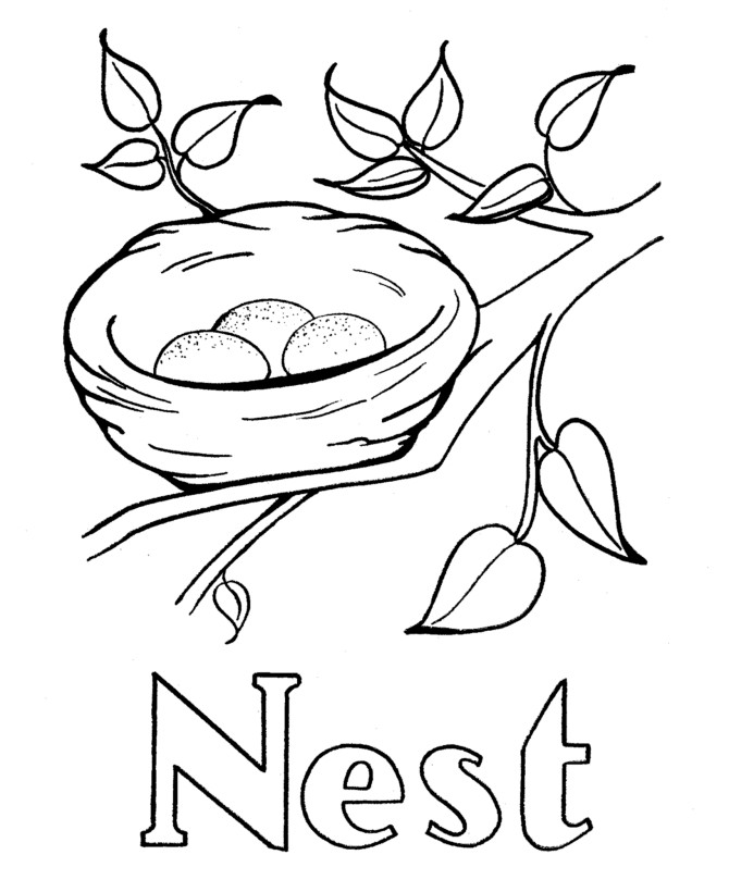 Nest Coloring Pages
 Nests Free Coloring Pages