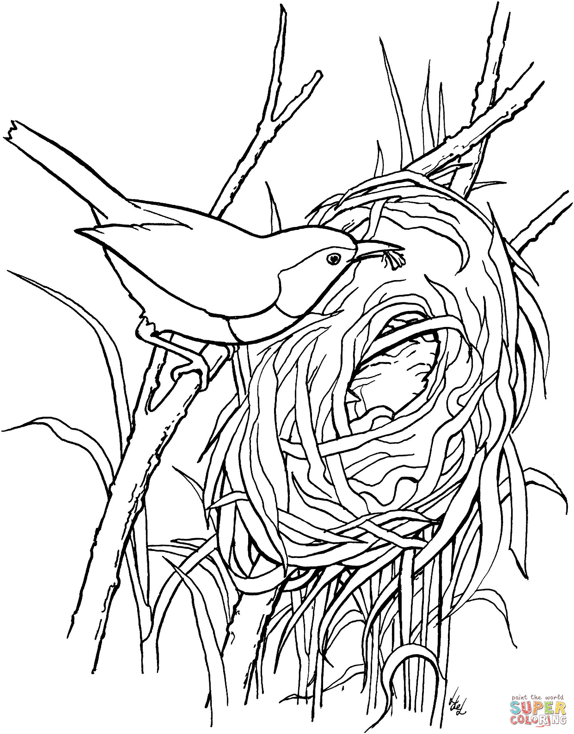 Nest Coloring Pages
 Nest White coloring Download Nest White coloring