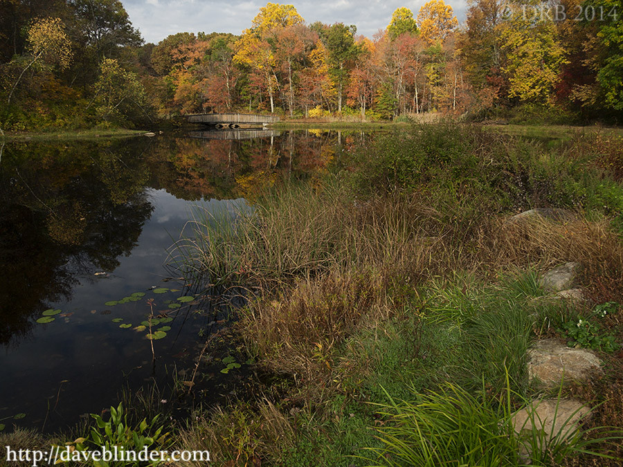 Best ideas about New Jersey Landscape
. Save or Pin New Jersey Landscape graphy Muriel Hepner Park Now.