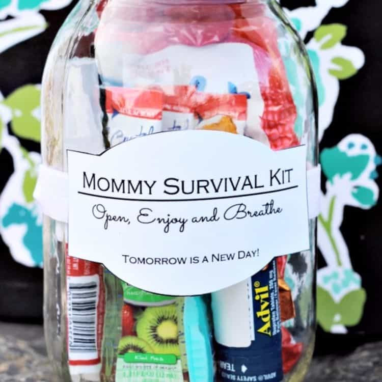 New Mom Gift Basket Ideas
 10 Great DIY New Mom Gift Basket Ideas Meaningful Gifts